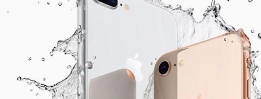 iPhone 8 Plus mayorista distribuidor