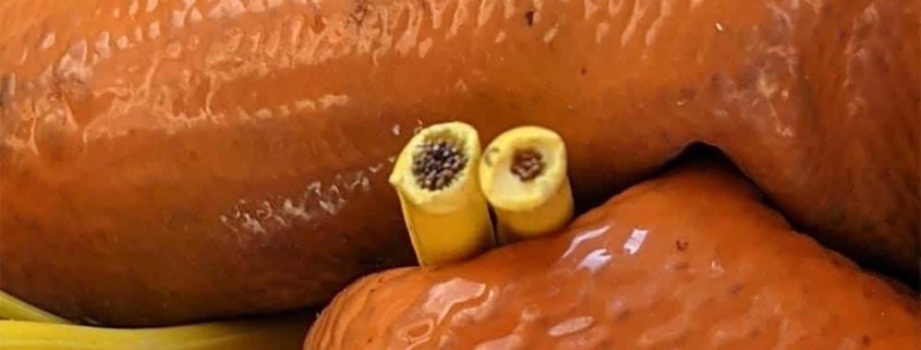 Descubren cables de alimentación de baja calidad, etiquetados como premium, en Amazon, eBay y AliExpress