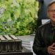 NVIDIA conquista el mercado de IA: ¡Más de 650,000 GPUs H100 vendidas en el tercer trimestre!